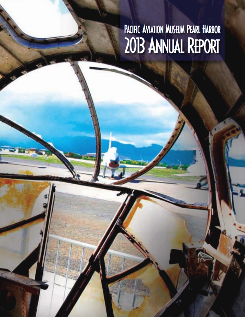 Annual Report 2013