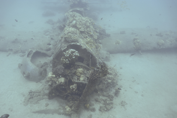 Helldiver aircraft wreck