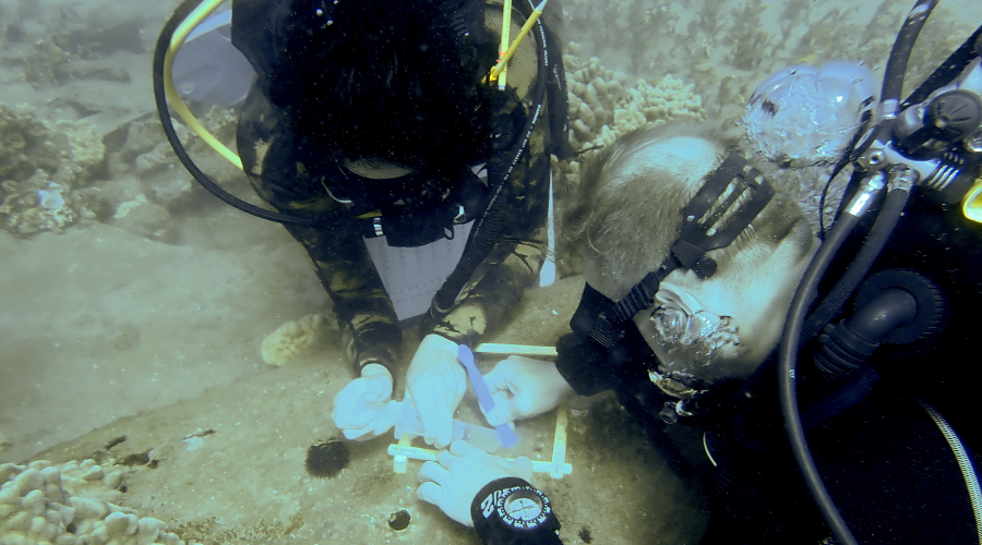 Dominic and his colleague collecting microbial data from an aircraft wreck.