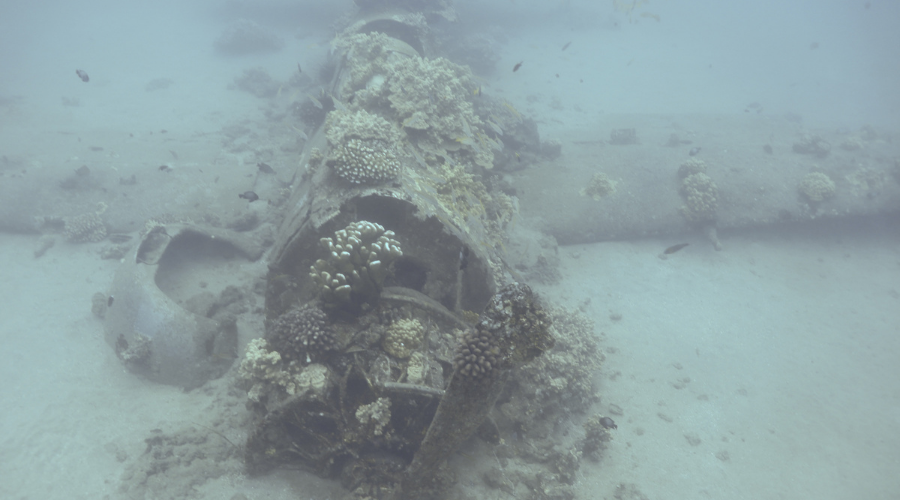 Helldiver aircraft wreck