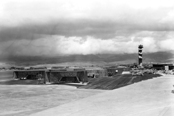 Black and white photograph of camouflaged tower.