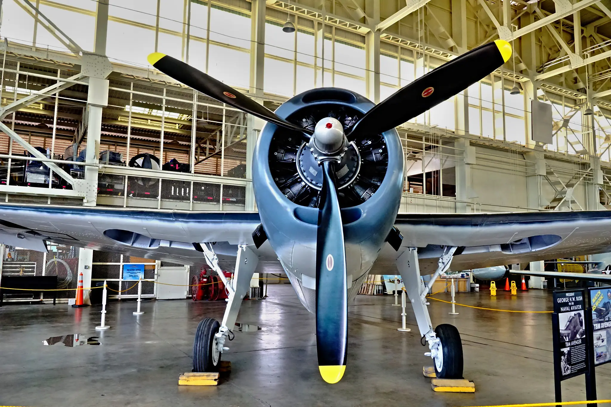 Photo of Grumman TBM Avenger in Hangar 79