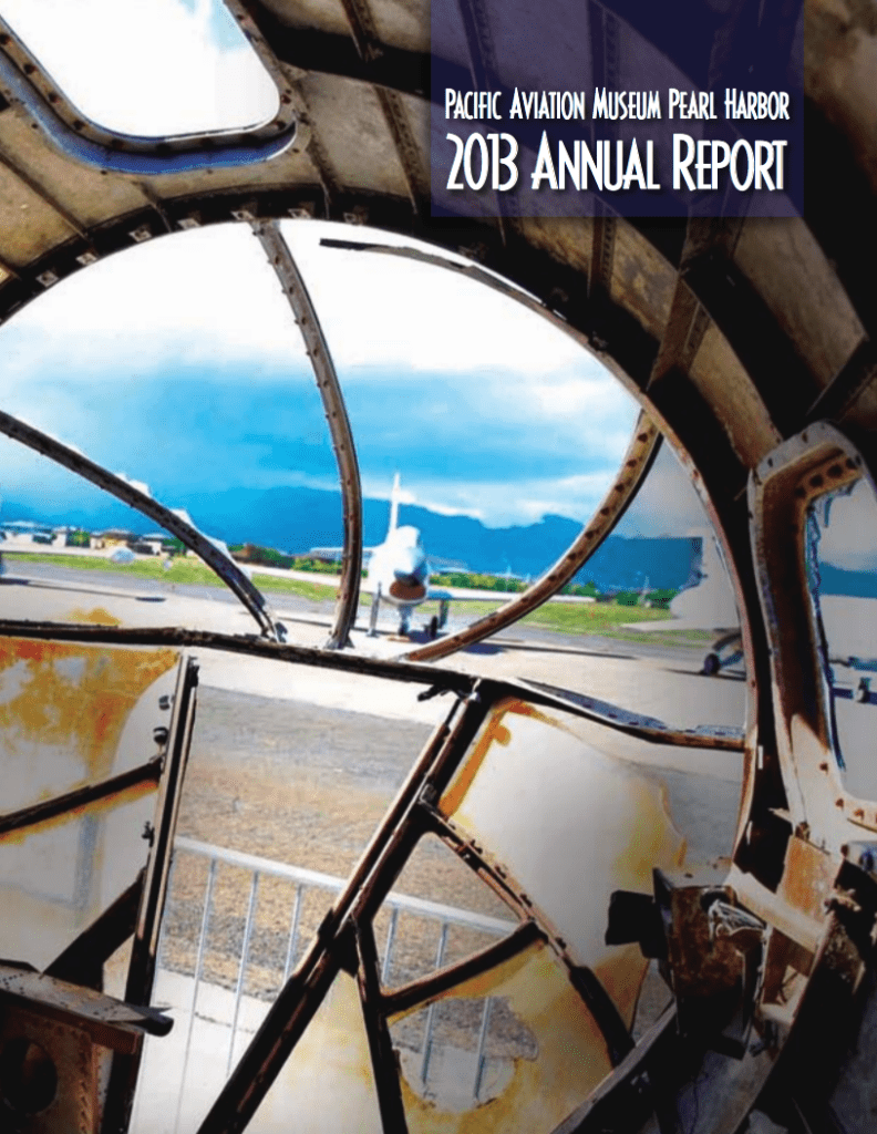Annual Report 2013
