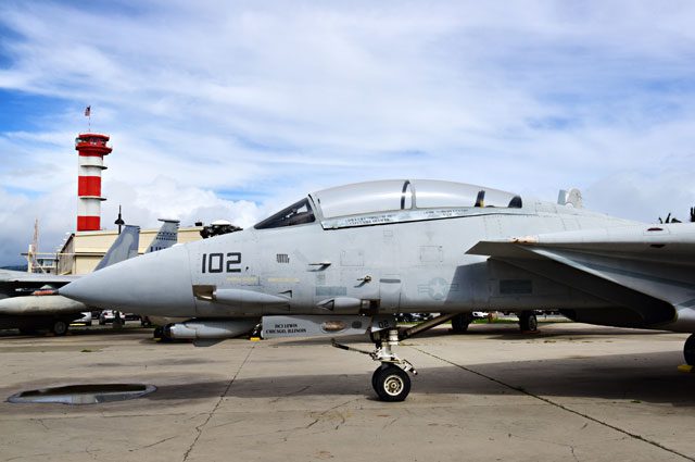 Grumman F-14D Tomcat (Fighter)