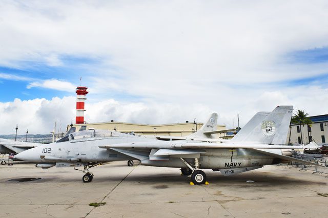 Grumman F-14D Tomcat (Fighter)