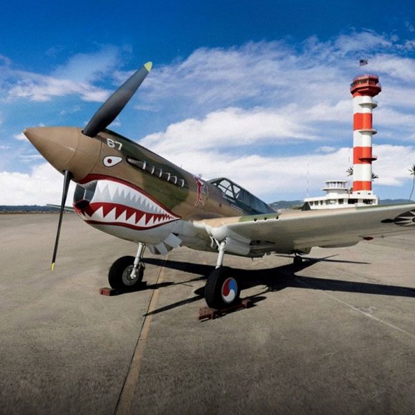 VCV-P-40 VCV-P-40