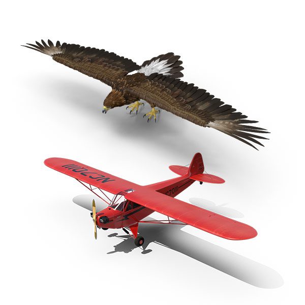 VCV-Wings-and-Wheels VCV-Wings-and-Wheels