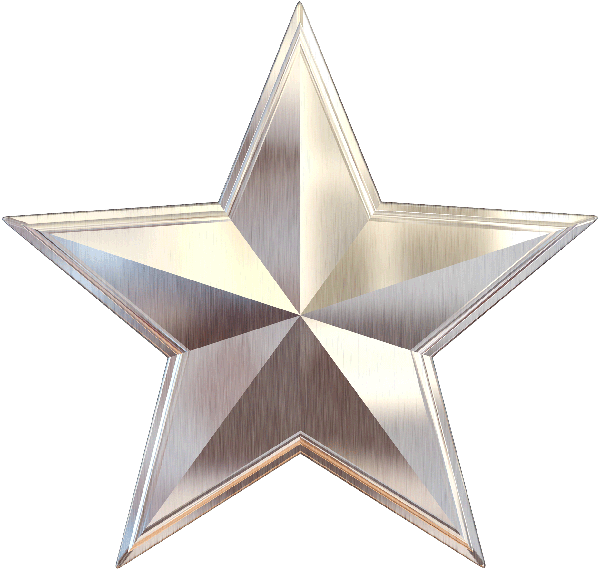 600-Star-Platinum 600-Star-Platinum