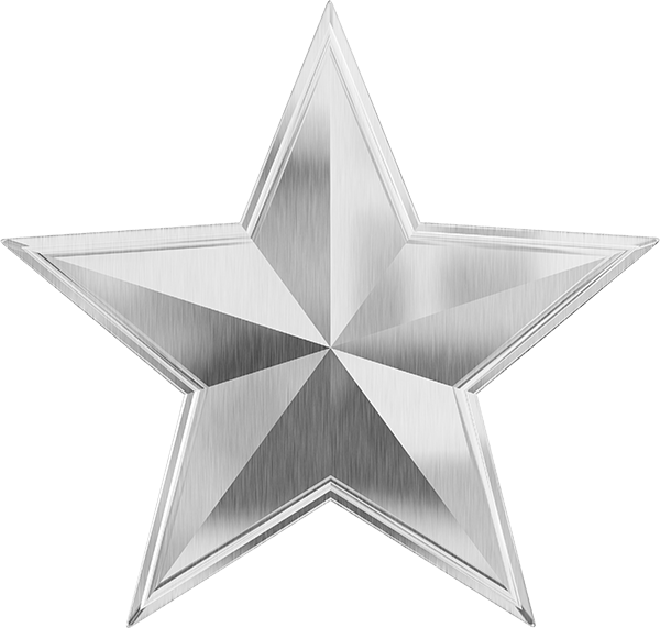 600-Star-Silver 600-Star-Silver