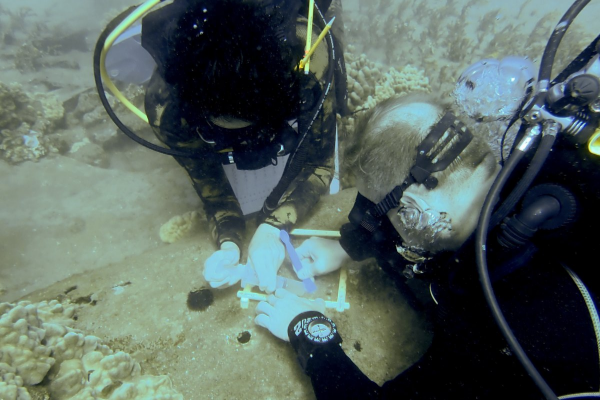 Dominic and his colleague collecting microbial data from an aircraft wreck.