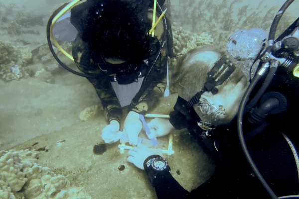 Sunken Treasures 3 Dominic and his colleague collecting microbial data from an aircraft wreck.