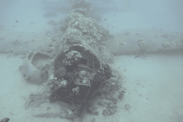 Sunken Treasures 9 Helldiver aircraft wreck