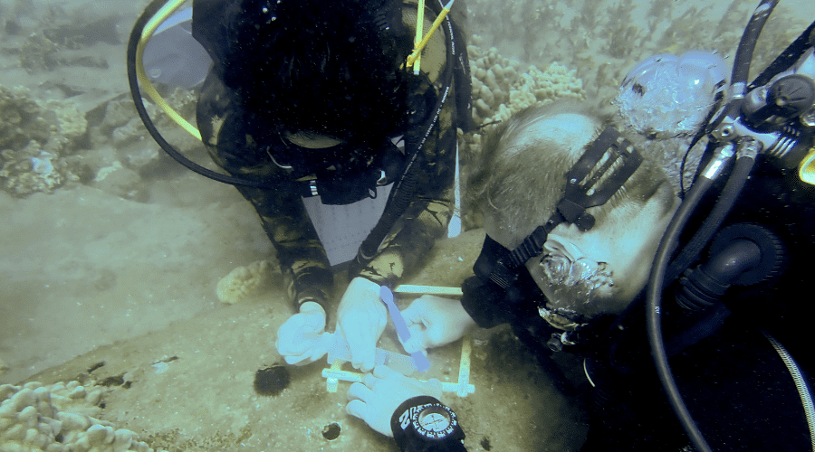 Untitled design (44) Dominic and his colleague collecting microbial data from an aircraft wreck.