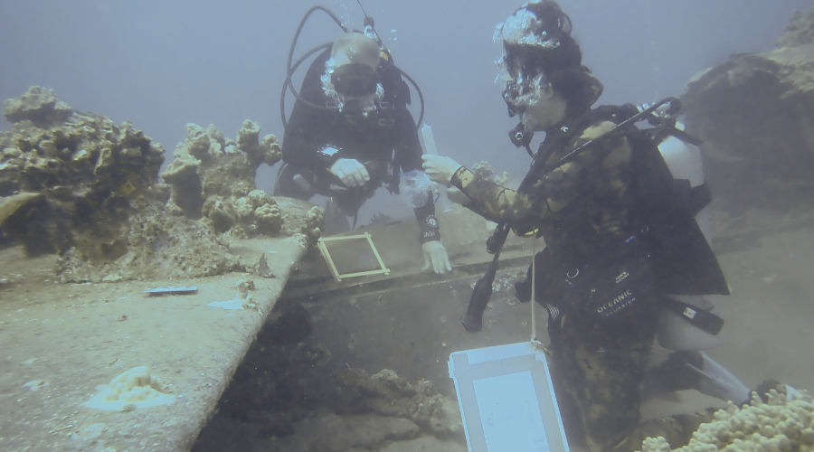 Dominic collecting the exact samples from the site as permitted by the U.S. Navy.