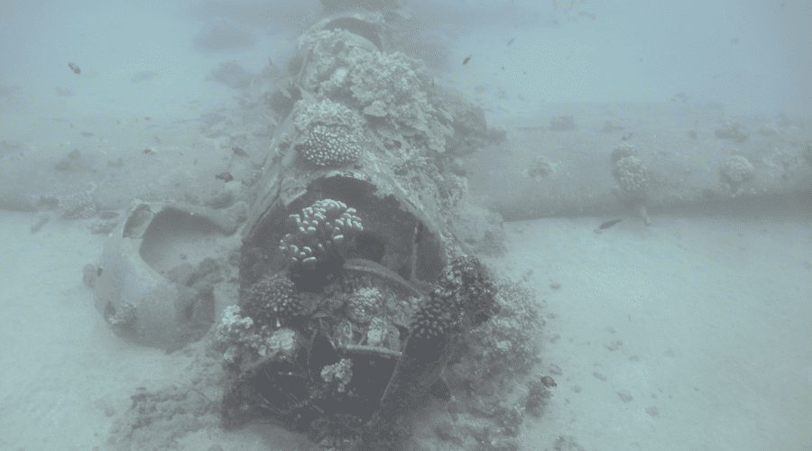 Untitled design (48) Helldiver aircraft wreck