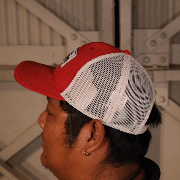 AN: Switch Back PHAM Logo Patch - Image 4