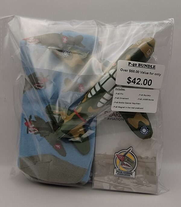 P Bundle Back - P-40 Bundle