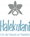 Halekulani-Logo-Silver-w—C-XLG Halekulani Logo Silver W C Xlg - Gala Night Details